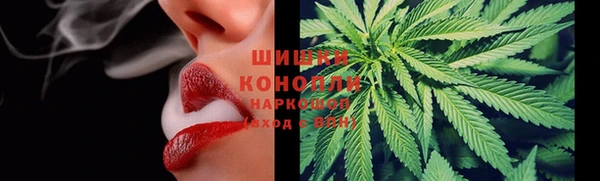 сатива Строитель