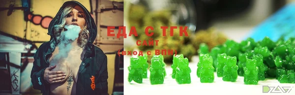гидра Вяземский