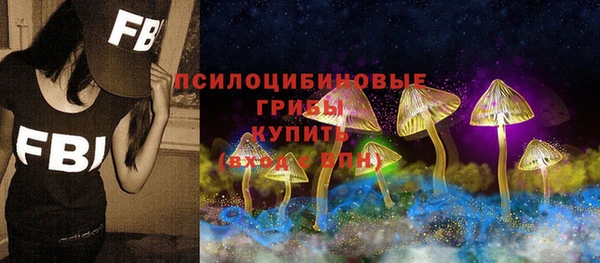 крисы Волоколамск